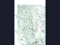 Коледна анимирана картичка2205