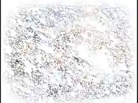 Коледна анимирана картичка2226