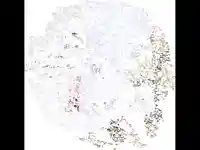 Коледна анимирана картичка2234