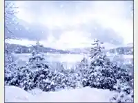 Коледна анимирана картичка2255