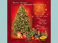 Честита Коледа! Щастлива Нова Година!
