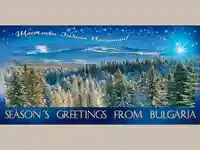 Нова Година - традиционни 15