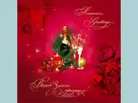 Нова Година - традиционни 213