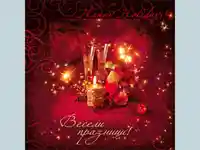 Нова Година - традиционни 214