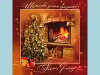 Нова Година - традиционни 21