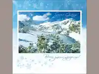 Нова Година - традиционни 225