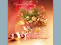 Нова Година - традиционни 232