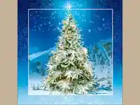 Нова Година - традиционни 248