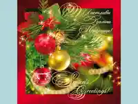 Нова Година - традиционни 252