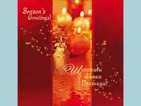 Нова Година - традиционни 264