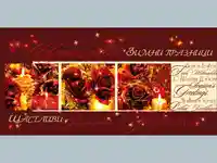 Нова Година - традиционни 31