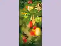 Нова Година - традиционни 432