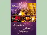 Нова Година - традиционни 446