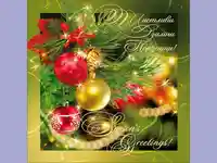 Нова Година - традиционни 447