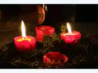 Честита Коледа ! Благодатна Нова Година!