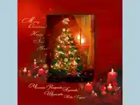 Честита Коледа!Щастлива Нова Година!