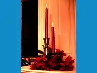 Честити Коледни и Новогодишни Празници!