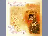 Честито Рождество Христово!Щастлива Нова Година!