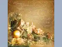 Честито Рождество Христово!Весела Нова Година!
