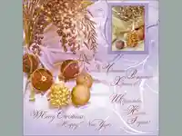 Честито Рождество Христово!Весела Нова Година!