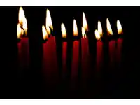 Щастливи Весели Празници!