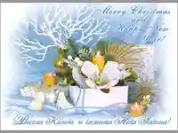 Весела Коледа и Честита Нова Година!
