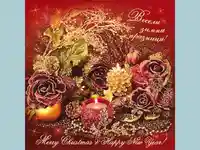 Весели Зимни Празници!