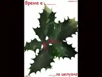 Време е за Целувка!