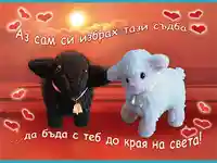 Аз сам си избрах тази съдба... да бъда с теб докрая на света