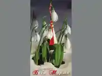 Кокичета с мартенички!