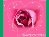 Обичам те!!!