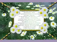 Цветен стих