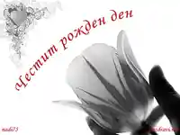 Честит Рожден Ден  с цвете