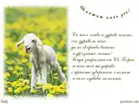 Пожелание за Гергана,Галя,Галина и др.