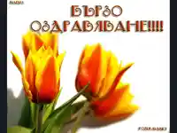 бързо оздравяване