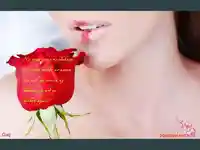 Защо те обикнах!