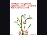 Баба Марта носи пролетта!