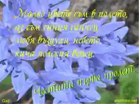 Честита първа пролет.