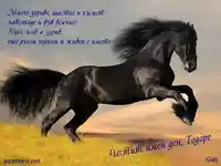 Честит имен ден,Тодоре!