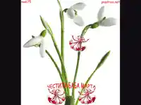 ЧЕСТИТА БАБА МАРТА!