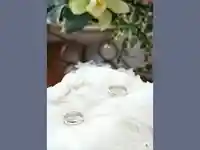 Брачни халки !