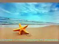 shutterstock1 14778628