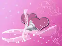 Две влюбени бели гълъбчета!