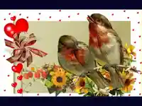 Моята обич за теб!