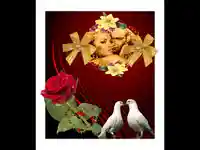 Неостаряваща нежна любов! Два Гълъба!