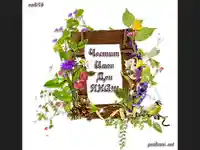 Честит имен ден Яна!