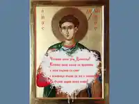 Поздрав за Димитър