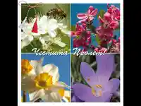 Честита Пролет!  Баба Марта!