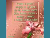 розов ирис за цветница