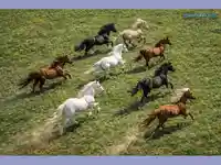 Честит Тодоров ден!